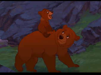 brother bear